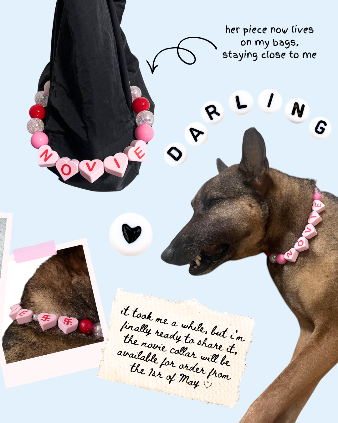 NOVIE BOBA COLLAR
