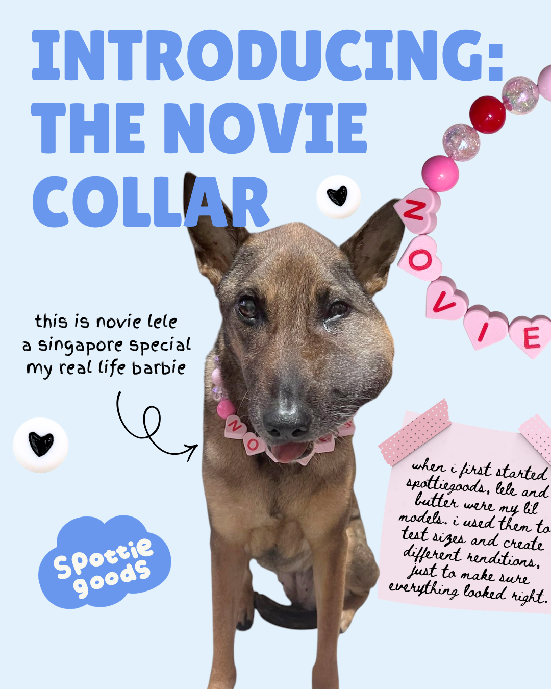 NOVIE BOBA COLLAR