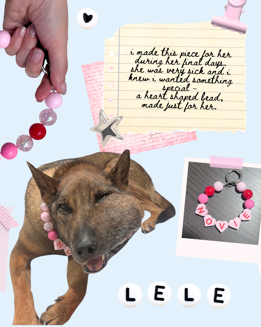 NOVIE BOBA COLLAR