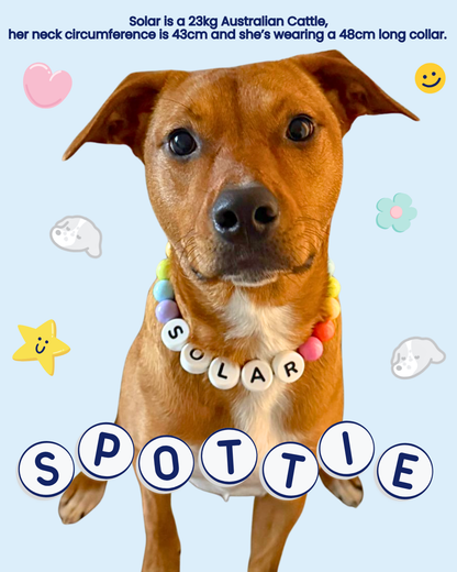 CHOOSE YOUR OWN COLORS (DOG)