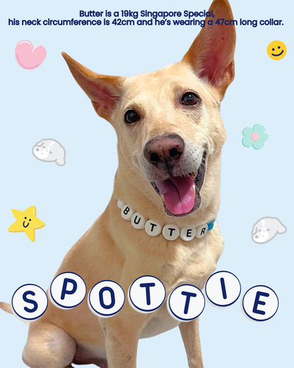 CHOOSE YOUR OWN COLORS (DOG)