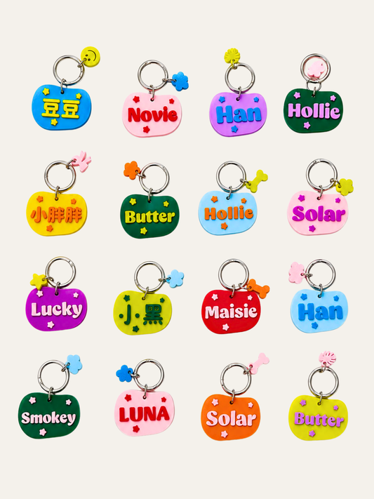 Custom Color Block Pet/Bag Tag