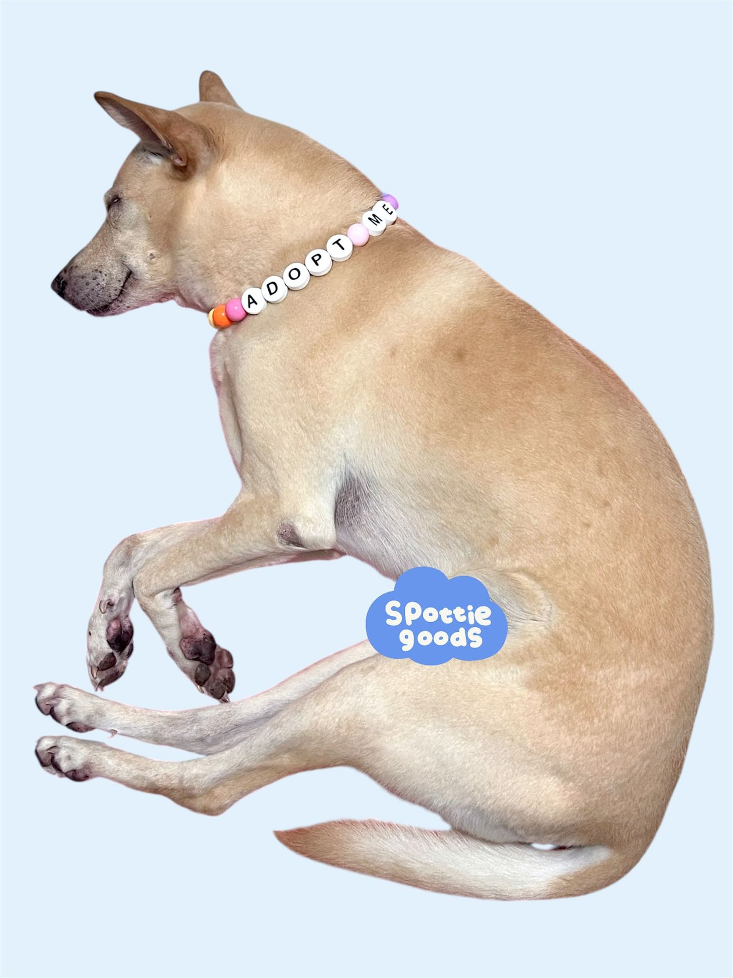 50% OFF 'ADOPT ME' BOBA COLLARS
